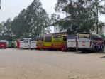 Poris plawad