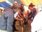 zaki tinjau zaki tinjau