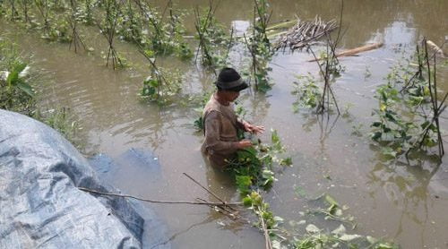 Warga Sayar Ngaku Tanamannya di Lahan Bendungan Sindangheula Belum Diganti Rugi