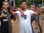 Banjir Cilegon, Selain Warga, King Cobra Ikut ‘Ngungsi’