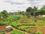 Keren! Kota Tangerang Punya Agrowisata Baru