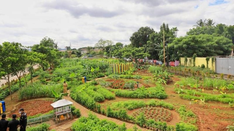 Keren! Kota Tangerang Punya Agrowisata Baru