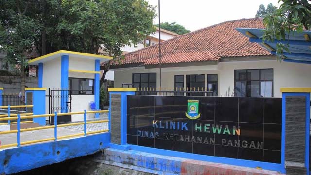Luar Biasa, Hewan Peliharaan Pun Disiapkan Klinik Rawat Inap