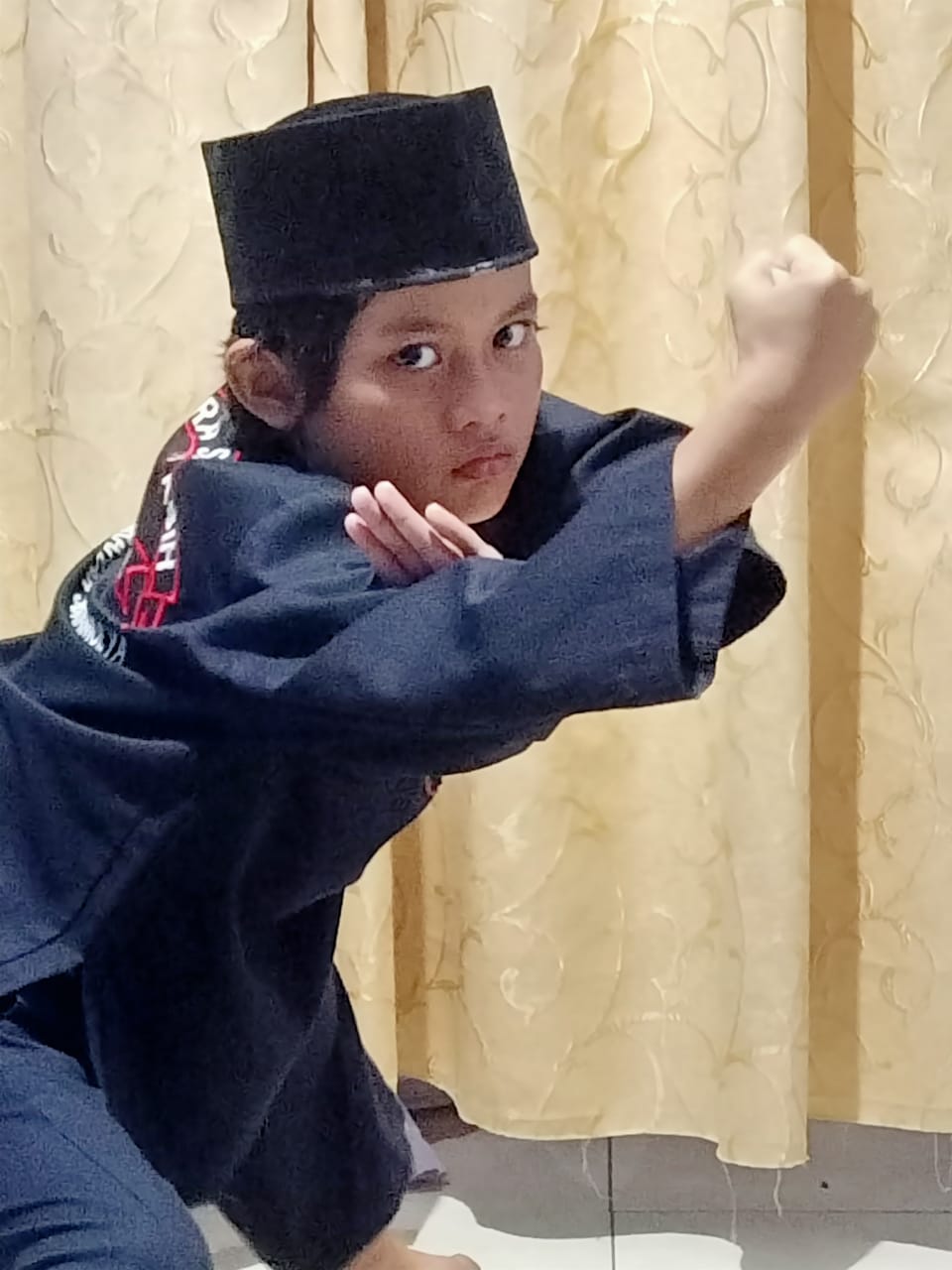 Pencak Silat