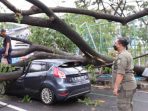 Pemkot Tangerang Reaksi Cepat Tangani Pohon Tumbang Akibat Hujan Lebat