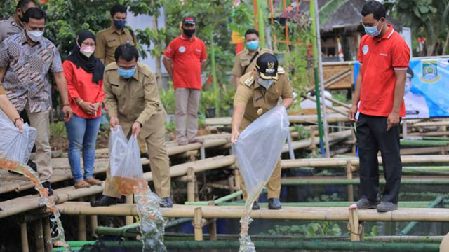 Arief Sebar 15.000 Bibit Ikan Nila di Kampung Kerambah Priuk