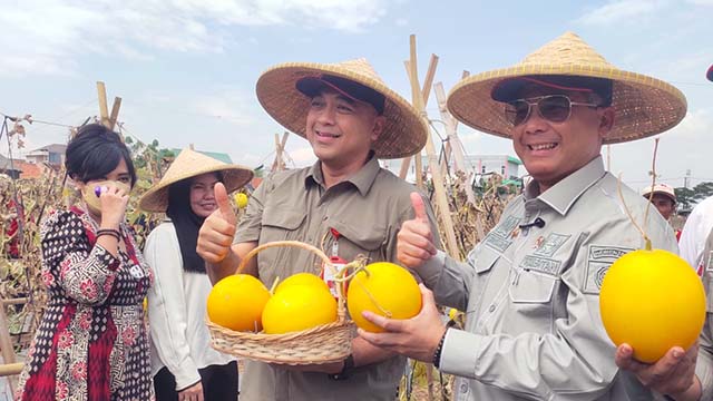 Pusat Kawasan Agropolitan