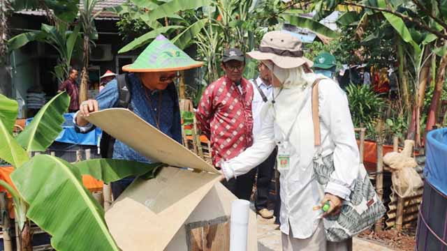 Lomba Proklim Lestari
