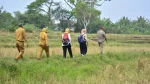 4.747 hektare lahan pertanian di Kabupaten Tangerang