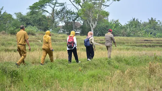 4.747 hektare lahan pertanian di Kabupaten Tangerang