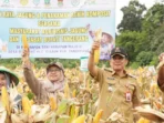 Jagung Hibrida