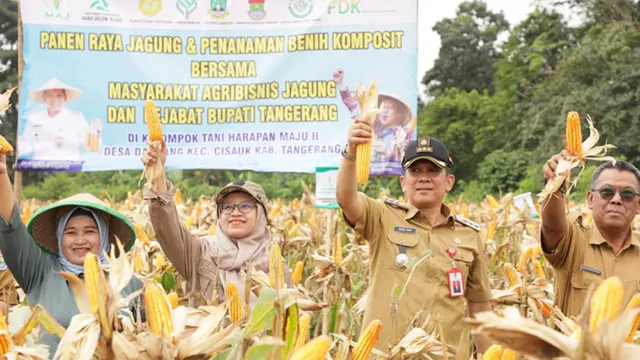 Jagung Hibrida