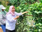 Desa Mekarsari