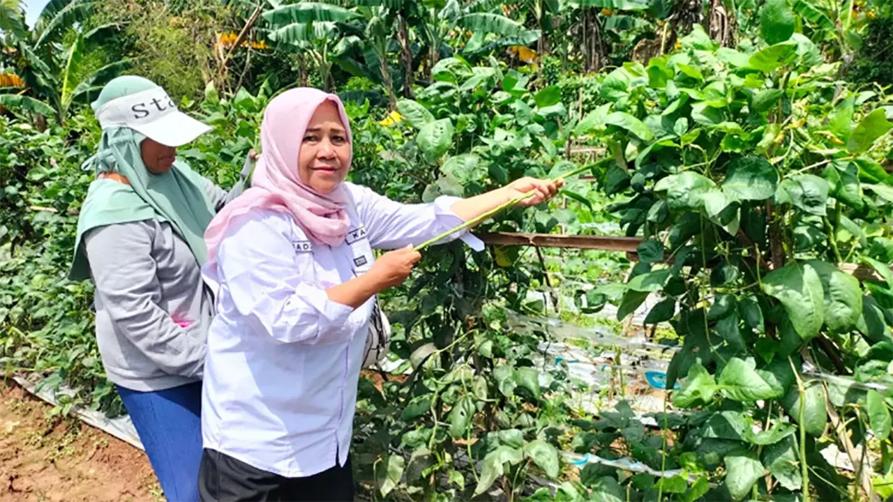 Desa Mekarsari