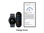 Energy Score