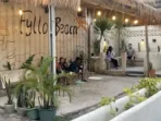 Fyllo Coffee Fyllo Coffee