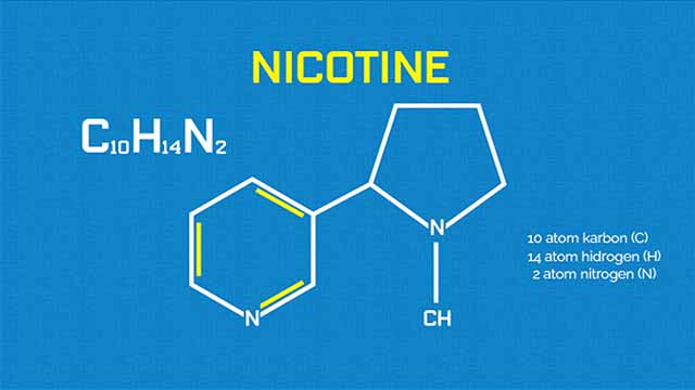 Menggali Fakta Menarik tentang Senyawa Nikotin